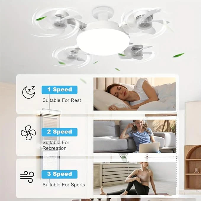 F4- Multifunctional Fan Light